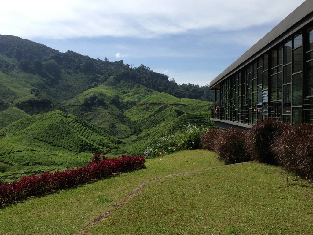 Cameron Highlands, Malaysia
