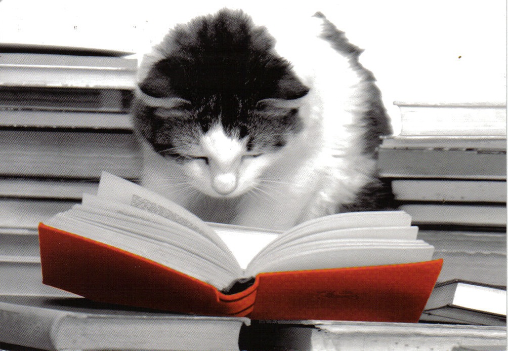 เรื่องเล่าวัยเด็ก 1 : การอ่านหนังสือ (คำแนะนำสำหรับผู้ปกครองที่อยากให้ลูกหลานชอบอ่านหนังสือ)